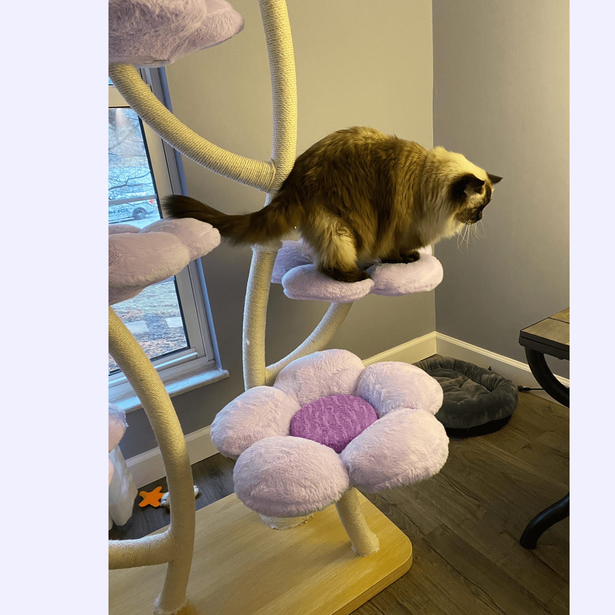 Ma boutique Cat trees Elysian Purple Flower Cat Tree